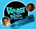 Voyage logo composite.