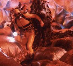 Whale innards at the mid-60s best.  No CGI available folks.