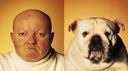 A pair of bulldogs.