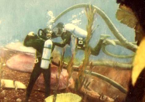 effects_squiddy_1.jpg - 22593 Bytes