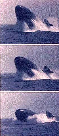 emergency_blow.jpg - 28791 Bytes