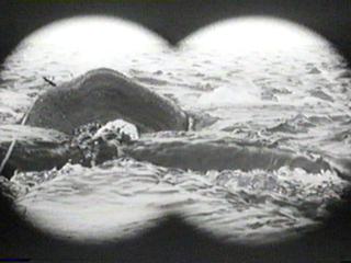 Wonderful attention to detail in the effects shot. See the speargun sticking out of the whale's side and the trailing rope?