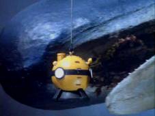 Hmmmm...this looks tasty.