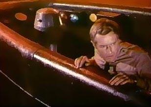 A keen eye on the lookout for trouble.