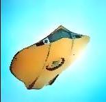 Flight back to the Institute.