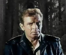 Admiral in the forest at night.