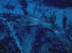 Undersea mound--what lies beneath?