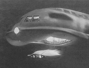 seaviewfsllaunchgood.jpg - 10541 Bytes