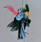 Wonderful bird toy was this website owners favorite of the toys.