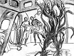 The Plant Man Production Art.